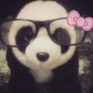 Meet your Posher, Zoey